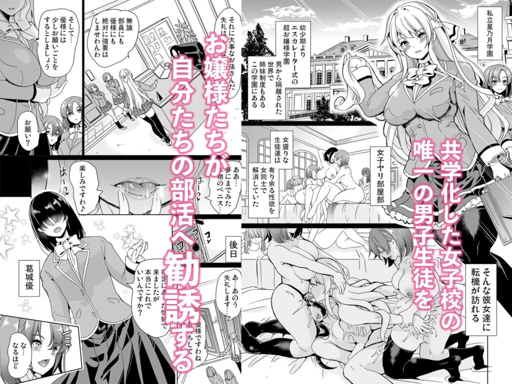 女子ヤリ部屋部の男根    〜痴女ハーレム〜  総集編 サンプル画像1 【鳳まひろ】