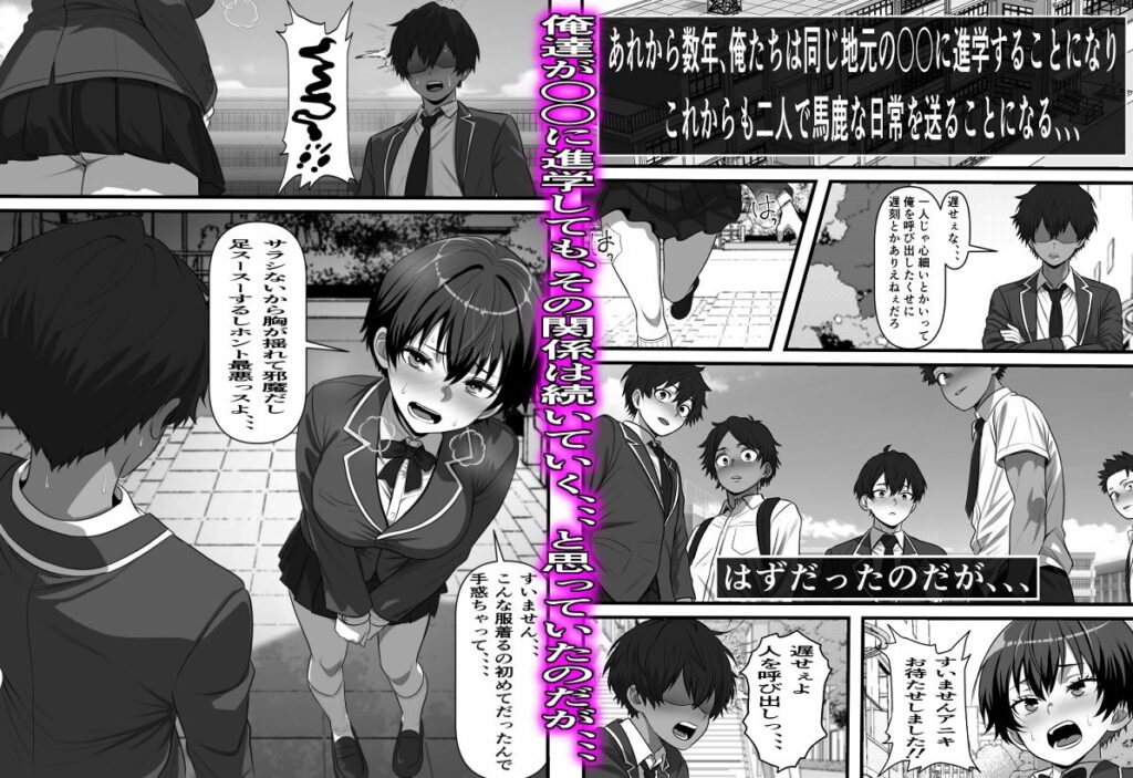 男だと思い込んでいた俺に絶対服従の自称俺の舎弟が日に日にドスケベオナホボディに成長していくのだが、、、 サンプル画像3 【フリテン堂(仮)】